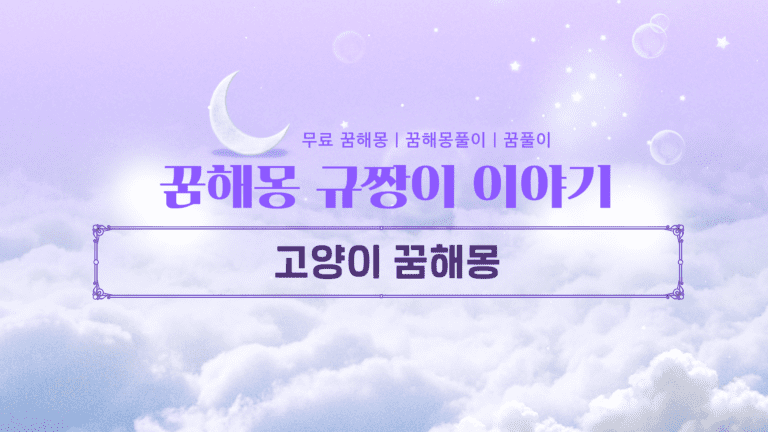 고양이 꿈해몽 검은 고양이는 불길하다? 편견을 깨는 진실